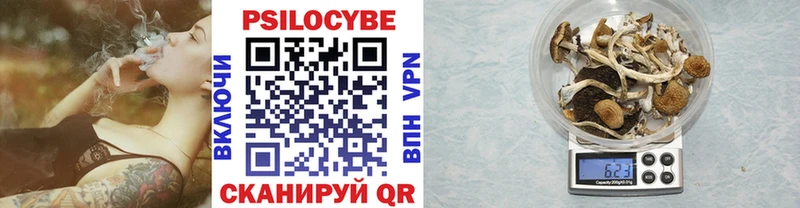Галлюциногенные грибы Psilocybe  МЕГА онион  Чита  наркота 